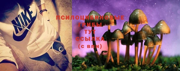 прущие крисы Каменка