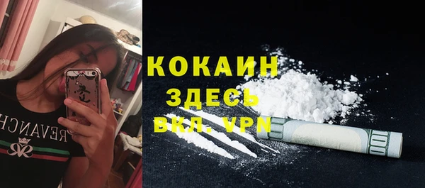 прущие крисы Каменка